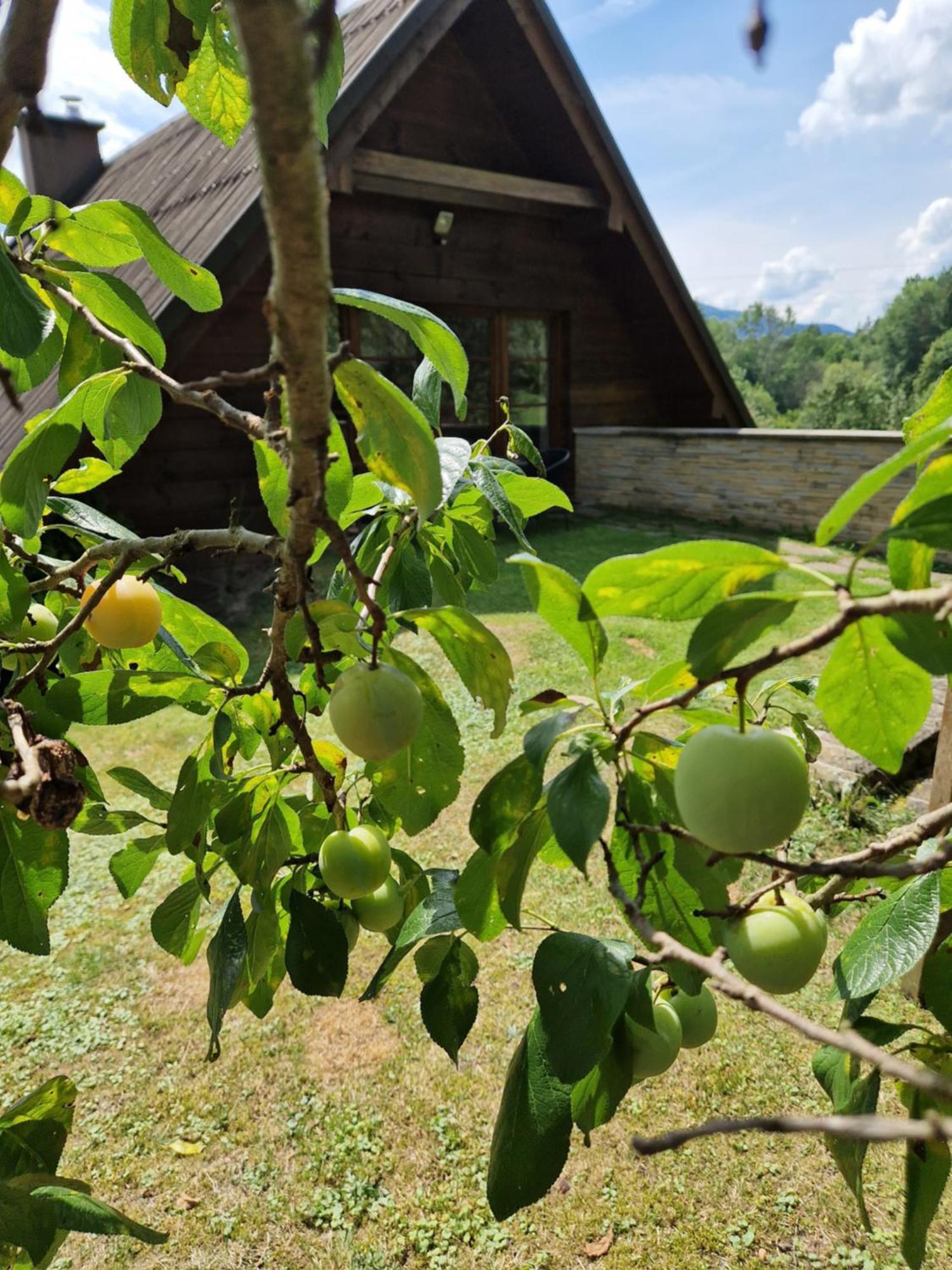 Garden Kurnik * Stroza